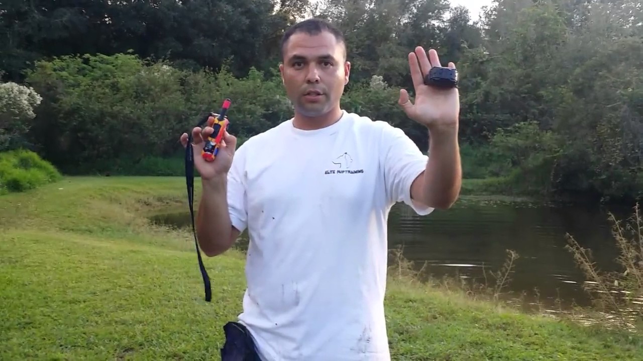 Como entrenar un perro sordo con collar de vibrador sin cordon EZ EDUCATOR PAGER