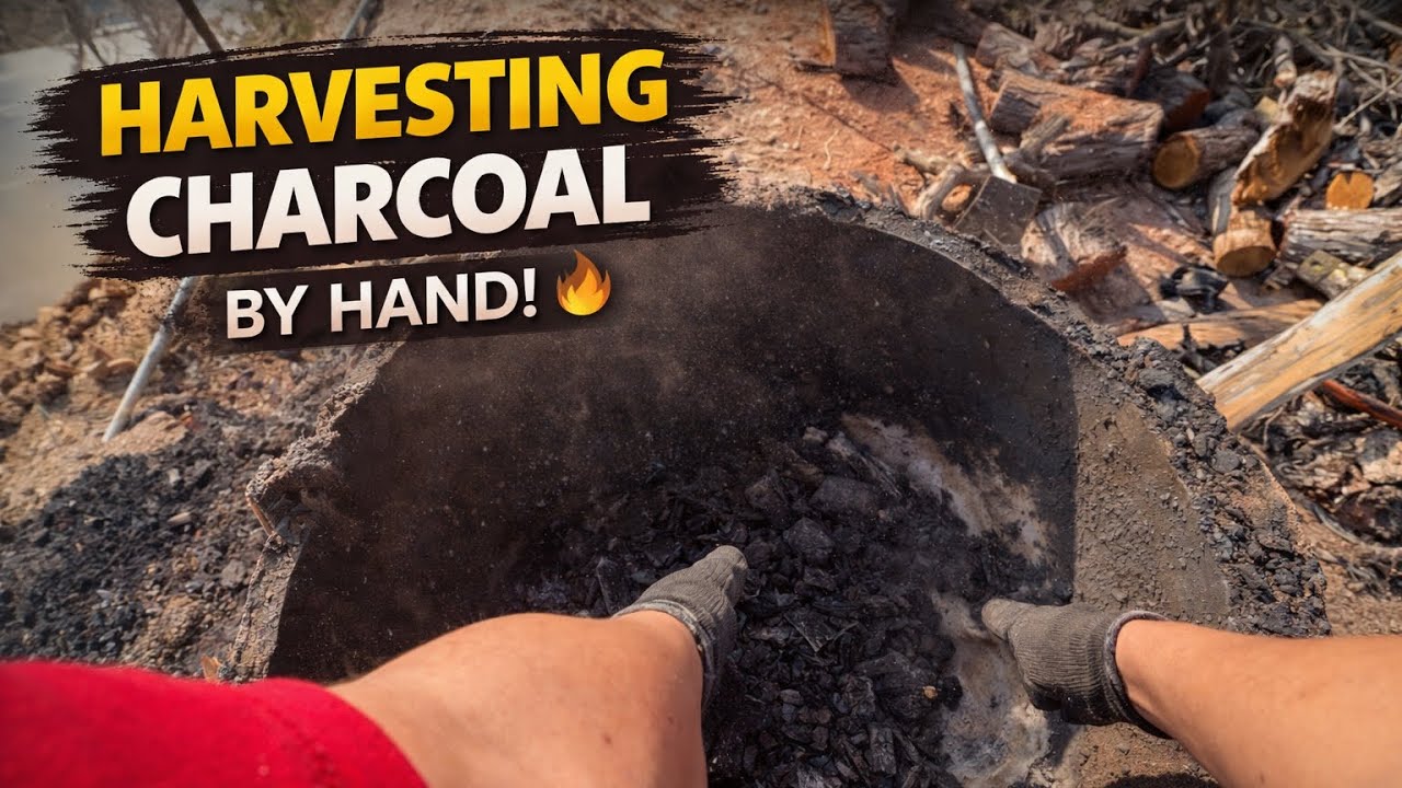 Harvesting Charcoal the Old Way | Real Rural Life | UnaMTD