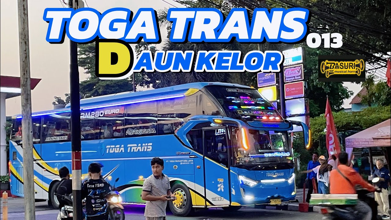TOGA TRANS 013 - DAUN KELOR ‼️