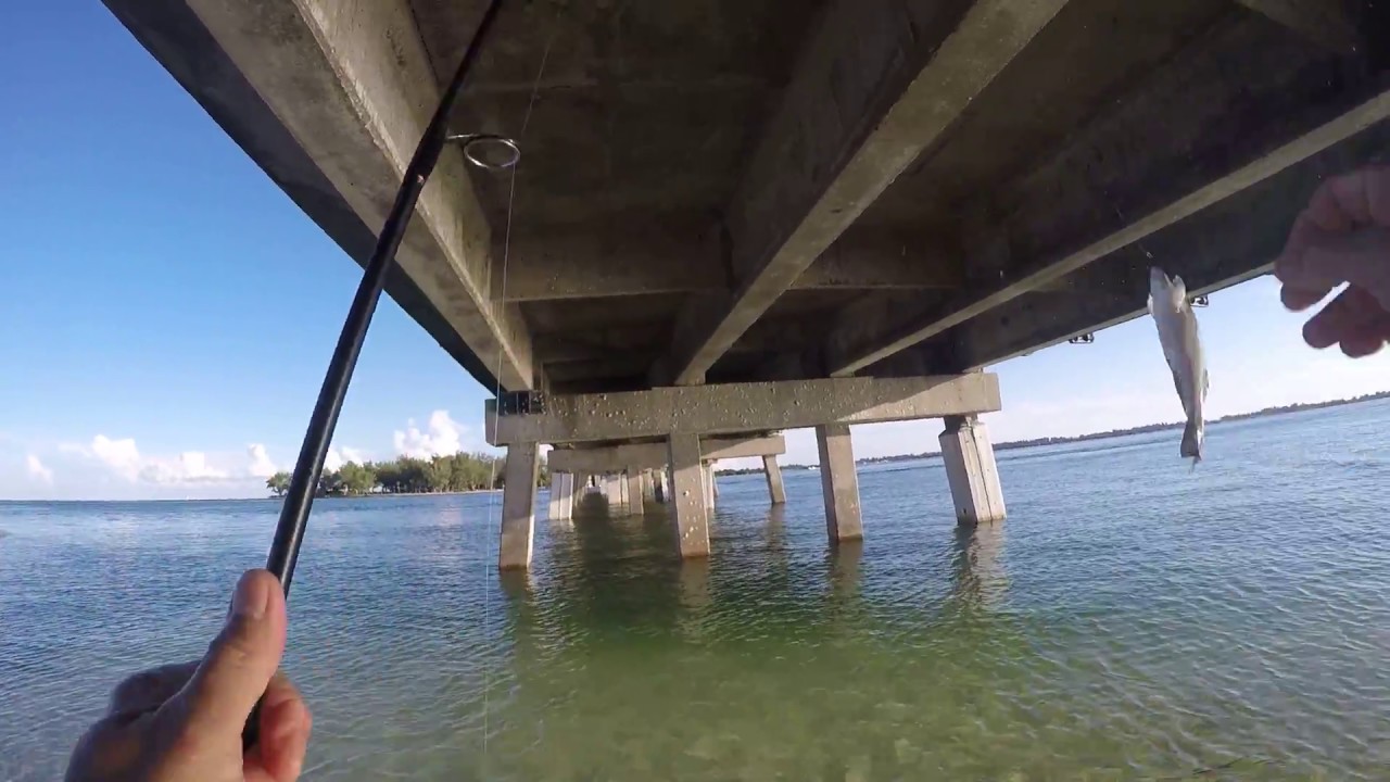 Catching Snook Grouper Mangrove  Snapper Jack Crevalle
