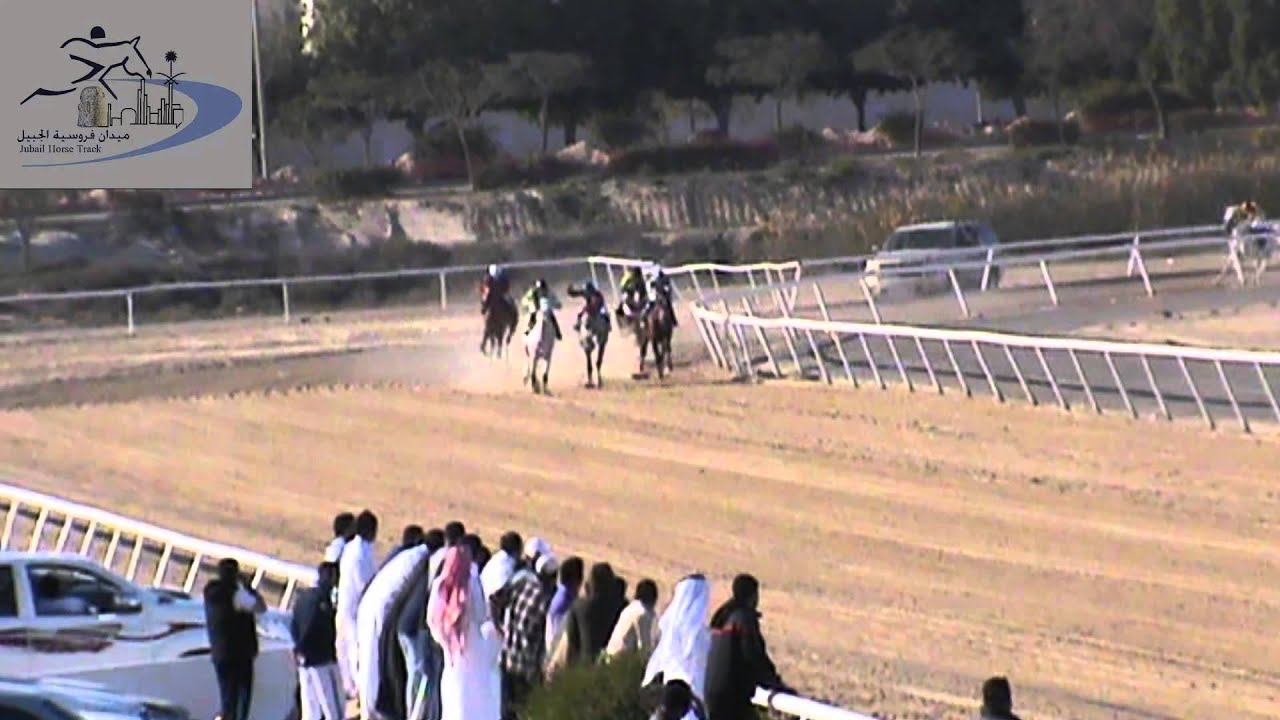 02 الشوط الثاني الحفل العاشر ميدان فروسية الجبيل موسم 1435 1436
