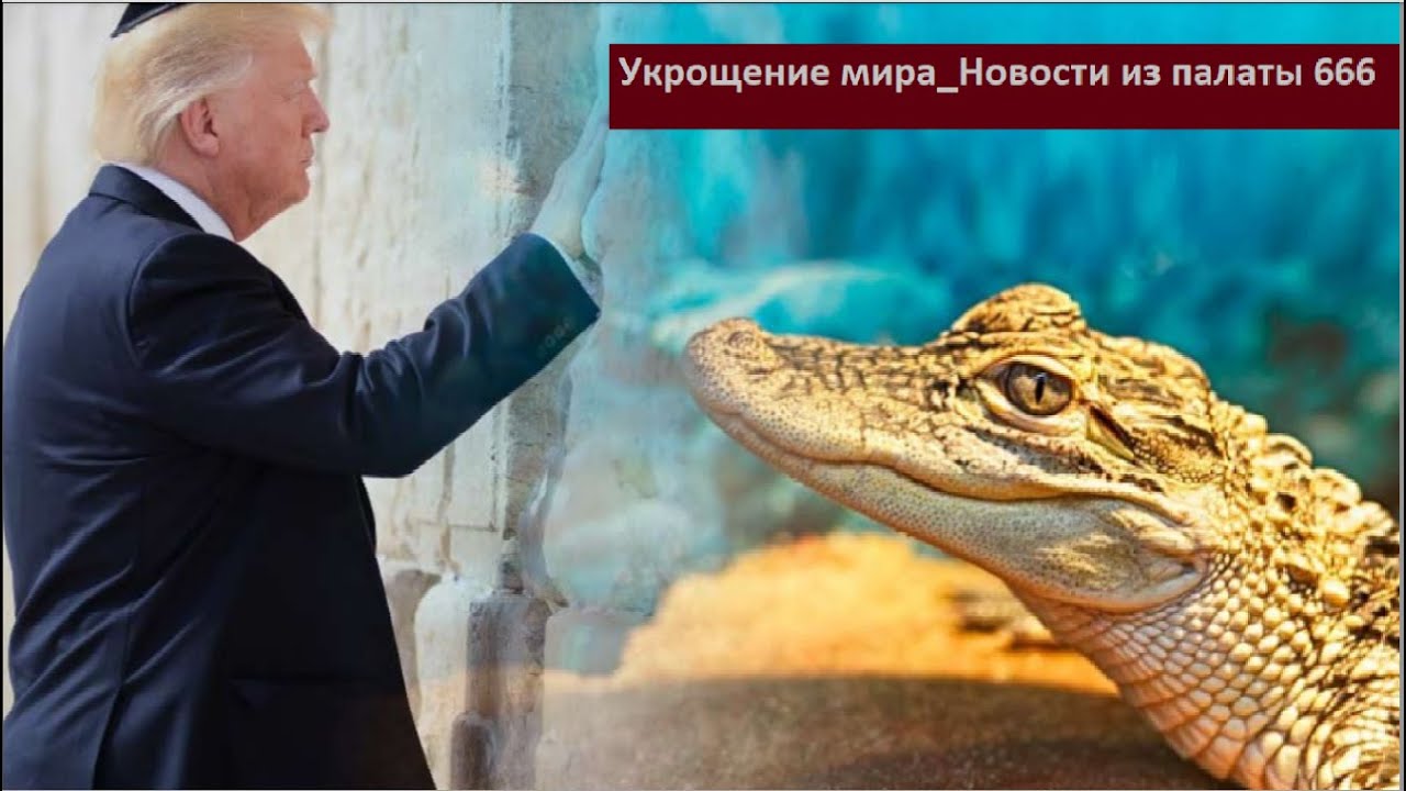 Укрощение мира Новости из палаты 666 № 6253