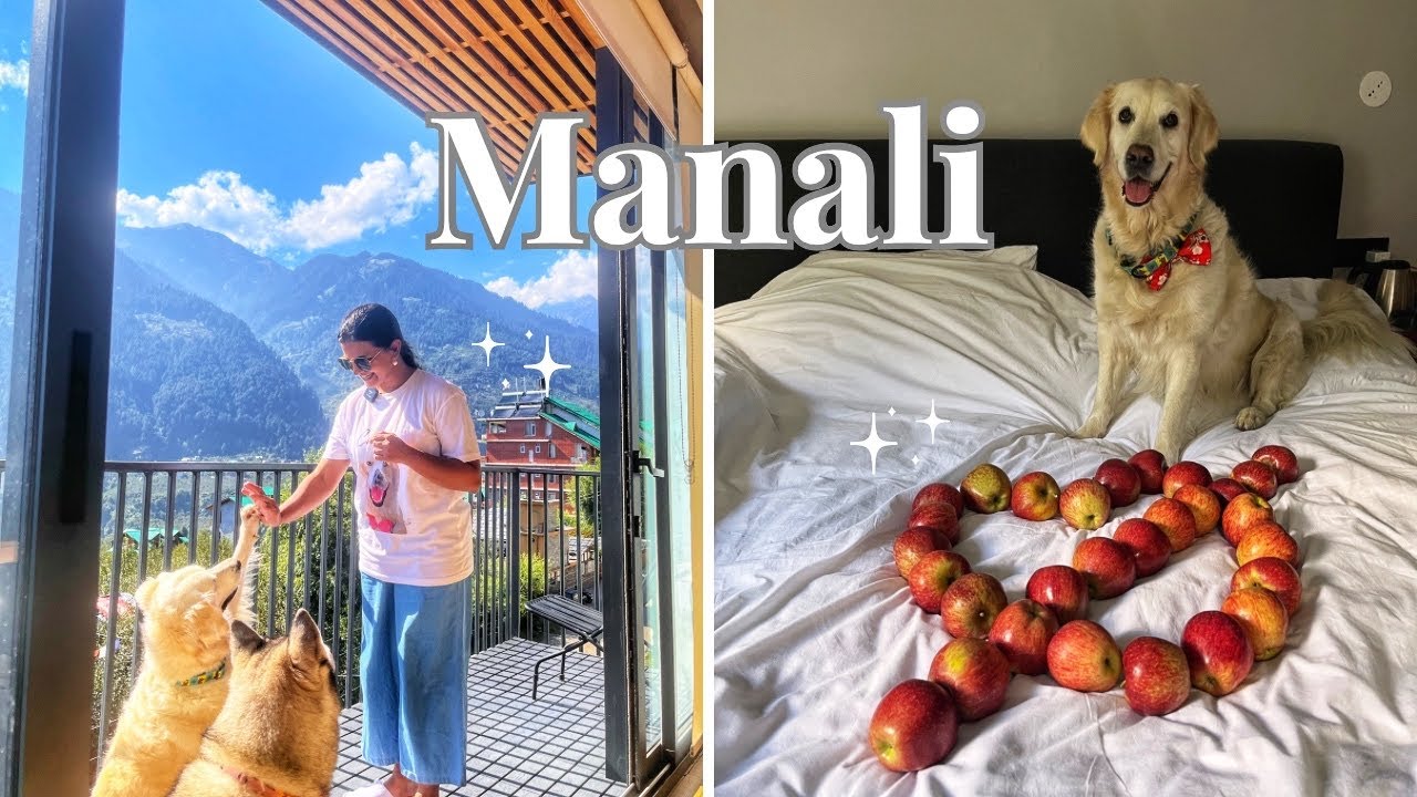 Manali | Pet friendly stay | Best Cafe Jagatsukh