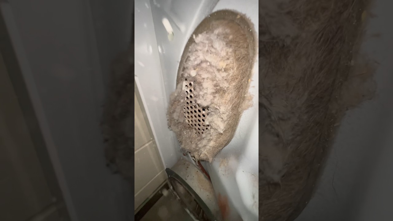 Dryer vent masterpiece 🎼🐸✨ #oddlysatisfying #satisfyingvideo #cleaning