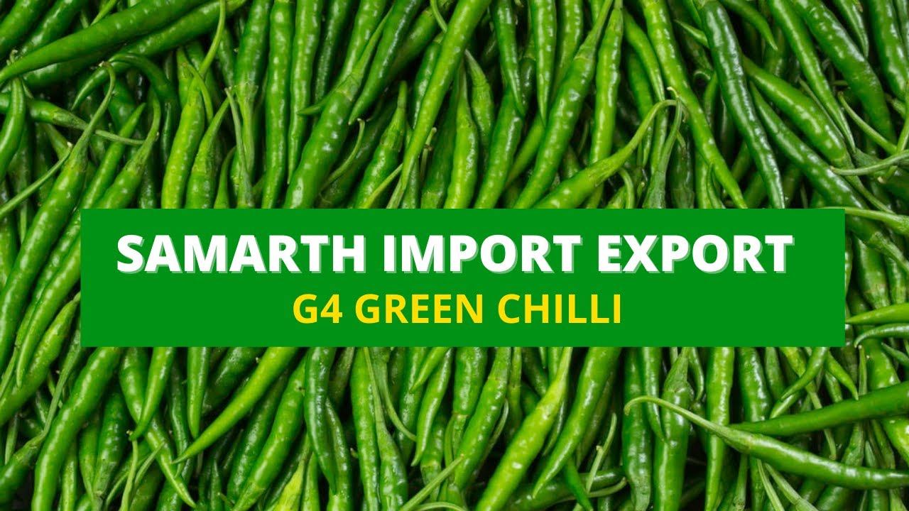 G4 GREEN CHILLI EXPORT