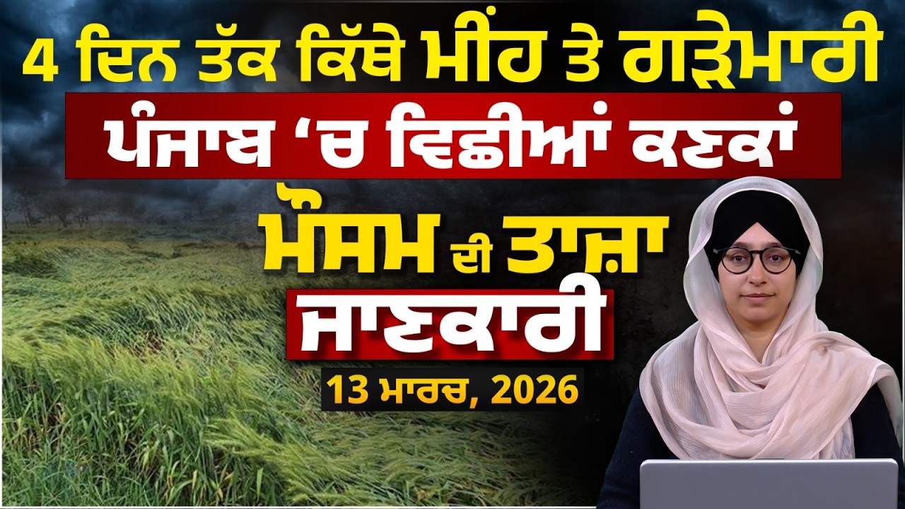 WEATHER REPORT | Punjab-Himachal Weather Forecast l 13 MARCH । THE KHALAS TV