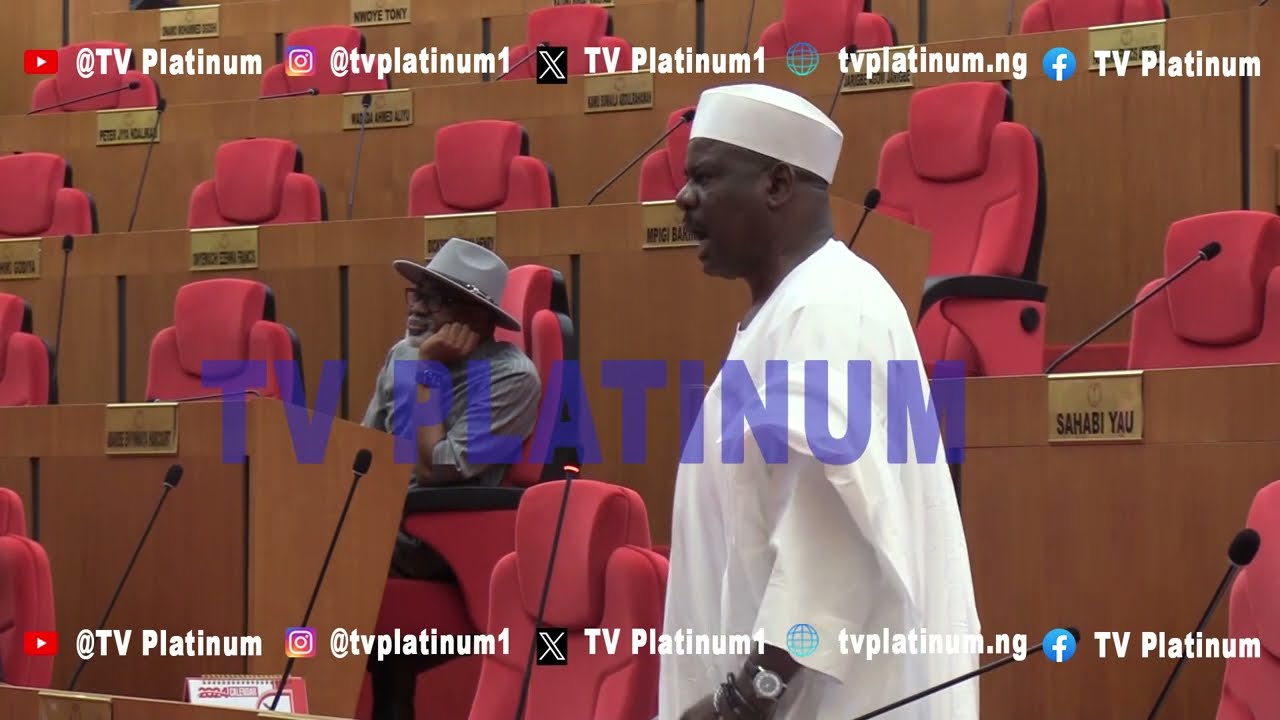 ''What is All These Nonsense'', Senator Ali Ndume Spit Fire Over Electricity in Nigeria