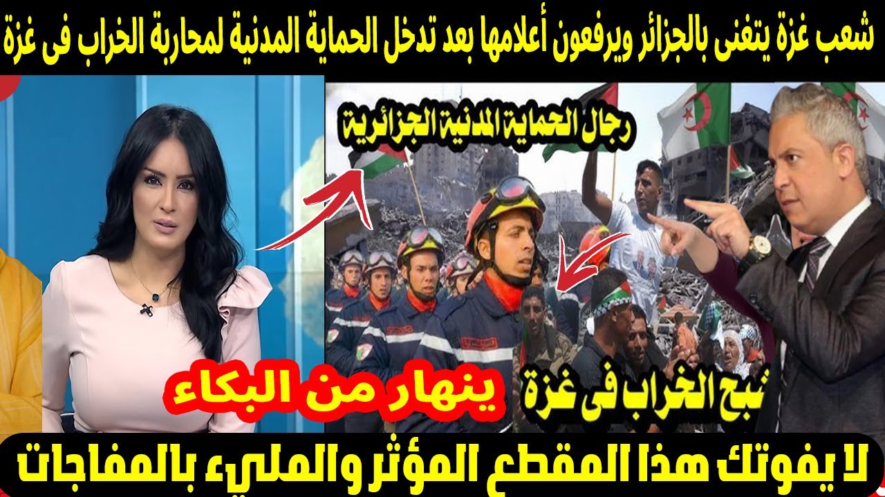 🇩🇿 دموع وفرح في غزة!.. شعب غزة يتغنّى بالجزائر ويرفع الأعلام بعد تدخل الحماية المدنية لمحاربة الخراب