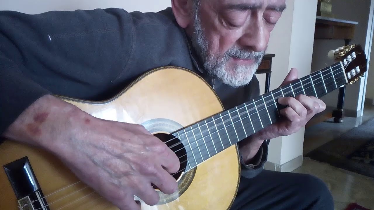 Se ti tagliassero a pezzetti 2 Giuseppe Capannini cover di Fabrizio de André