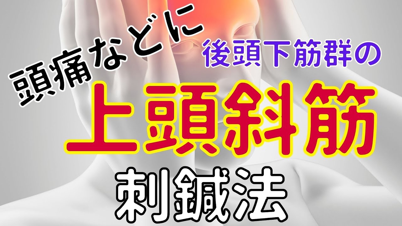 後頭下筋群の上頭斜筋の刺鍼法