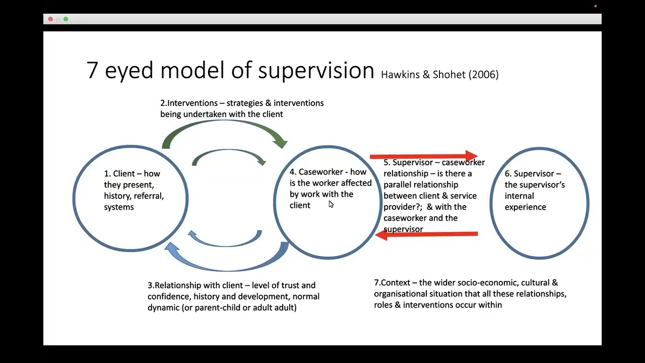 SWSP3011 7 eyed Model