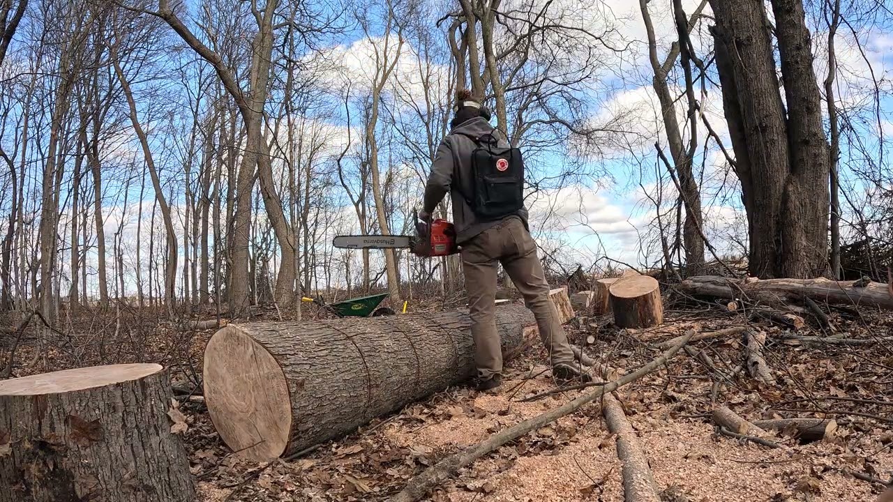 WoodWork  Timelapse.