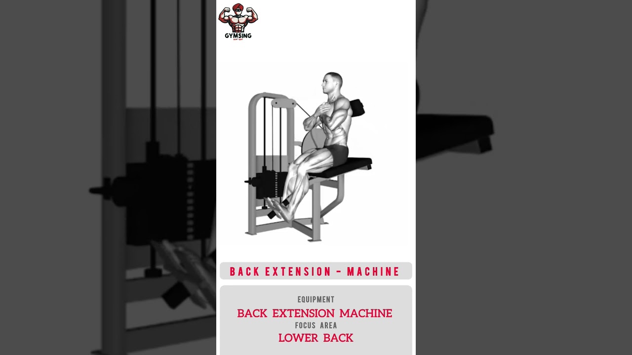 BACK EXTENSION - MACHINE | gymsing |
