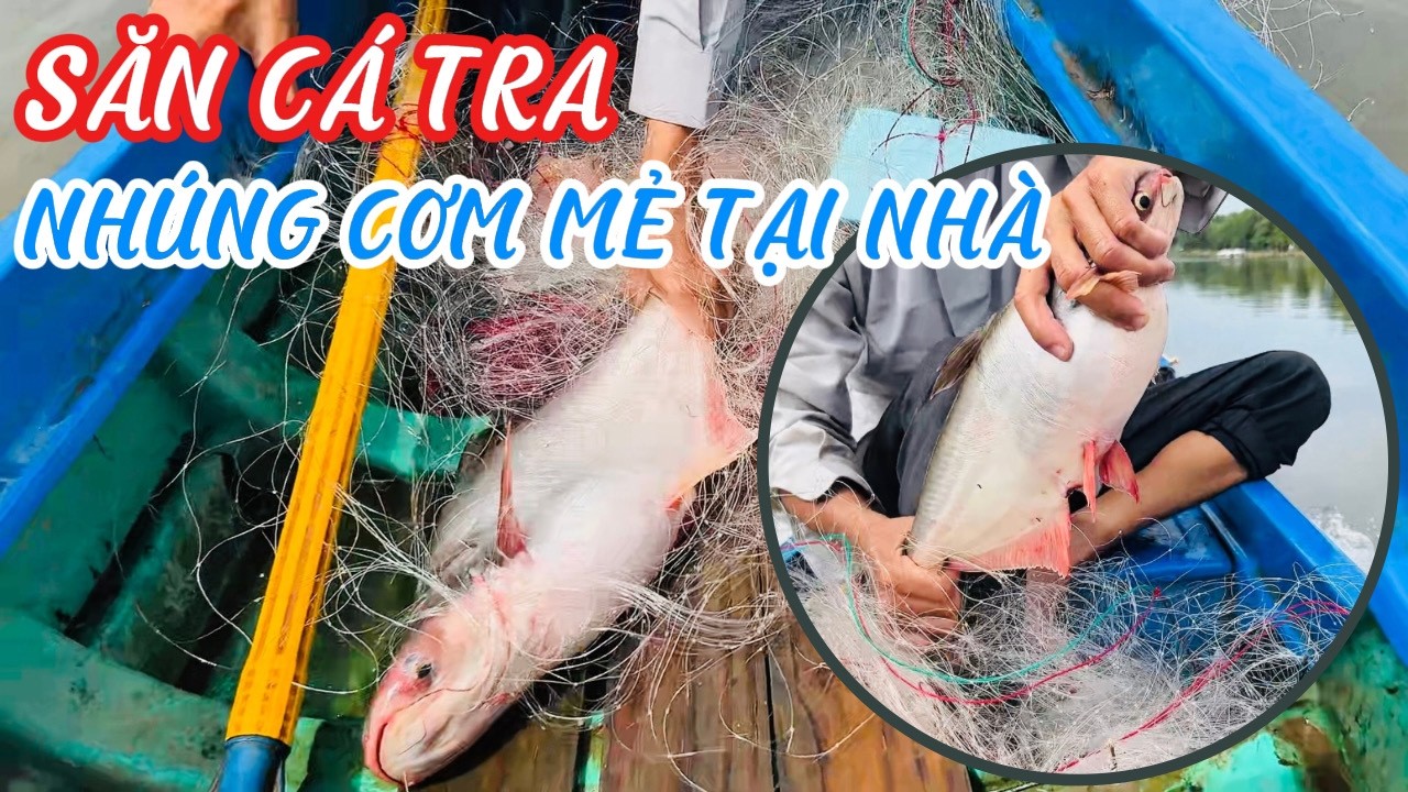 Đi Lưới Cá Tra Dính 2 Con To | Mang Về Nhà Nhúng Cơm Mẻ Cực Ngon | Sinh Tồn Sông Nước