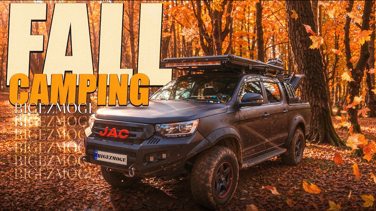 Forest Camping | Peaceful Nature Sounds, Campfire & Relaxing Ambience (No Talking)🍂