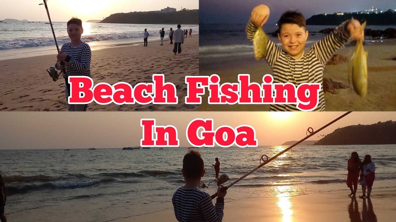 Beach FISHING in Goa | #beachfishing #fishing #goa