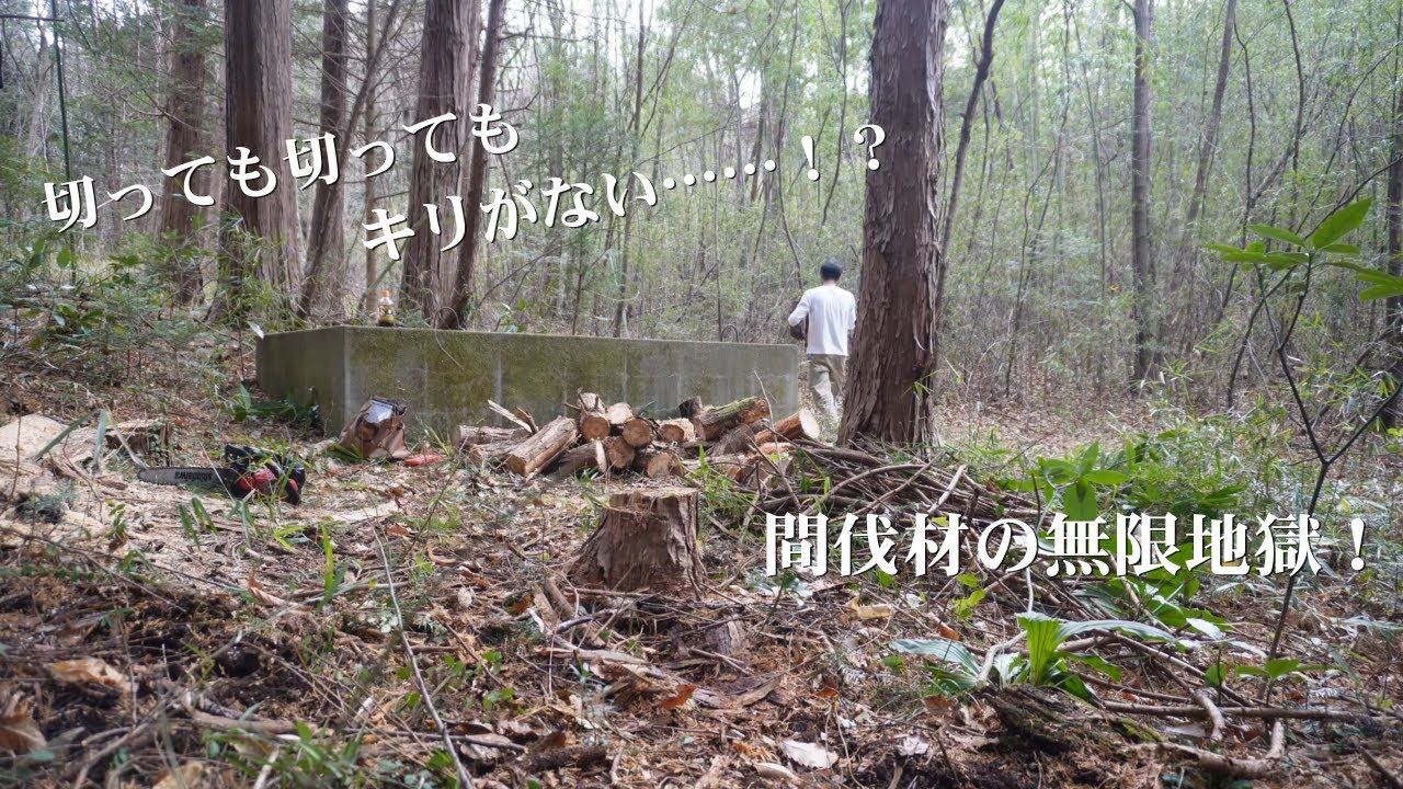 おっさんの休日。大量の間伐材に絶望しながら、ひたすら作業……！