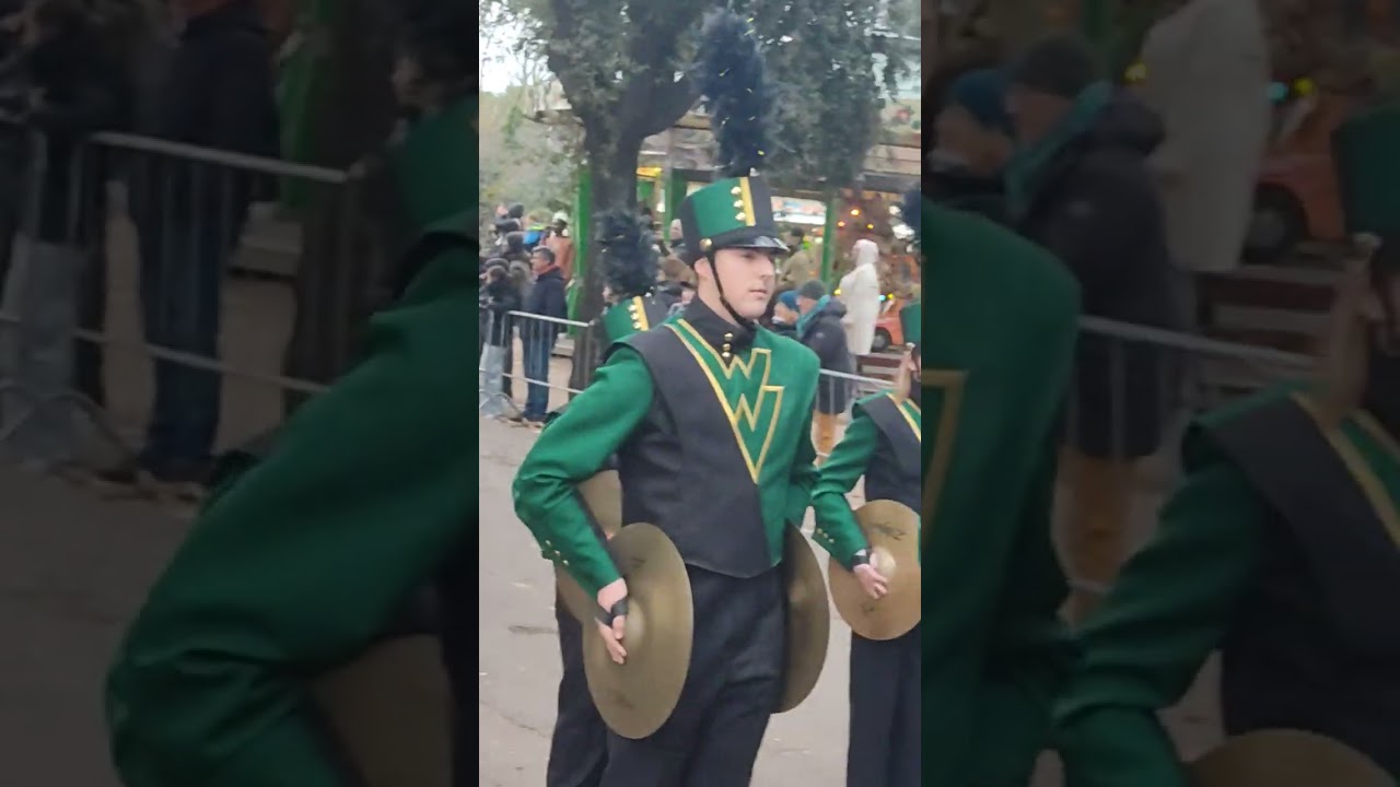 Roma New Year Parade 2026