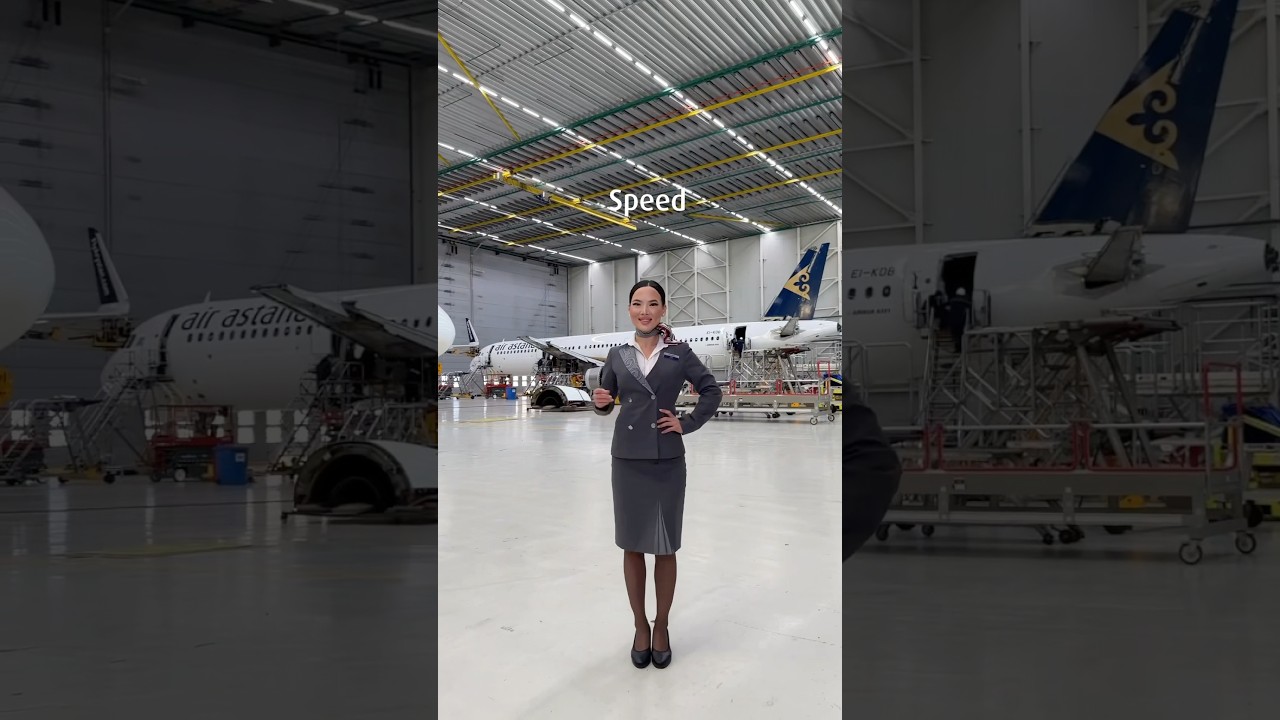 A team of aviation professionals ensures every flight is safe and comfortable for passengers✈️