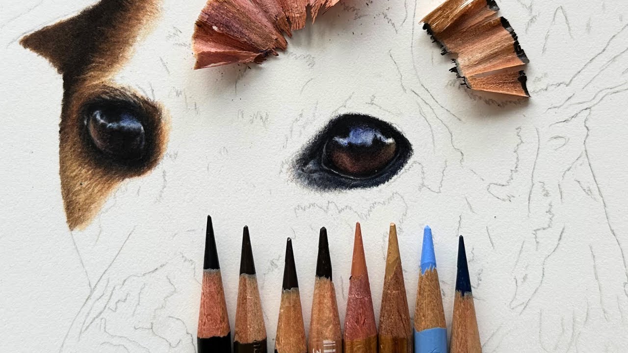 How To Draw A Realistic Eye in Coloured Pencil | Real Time
