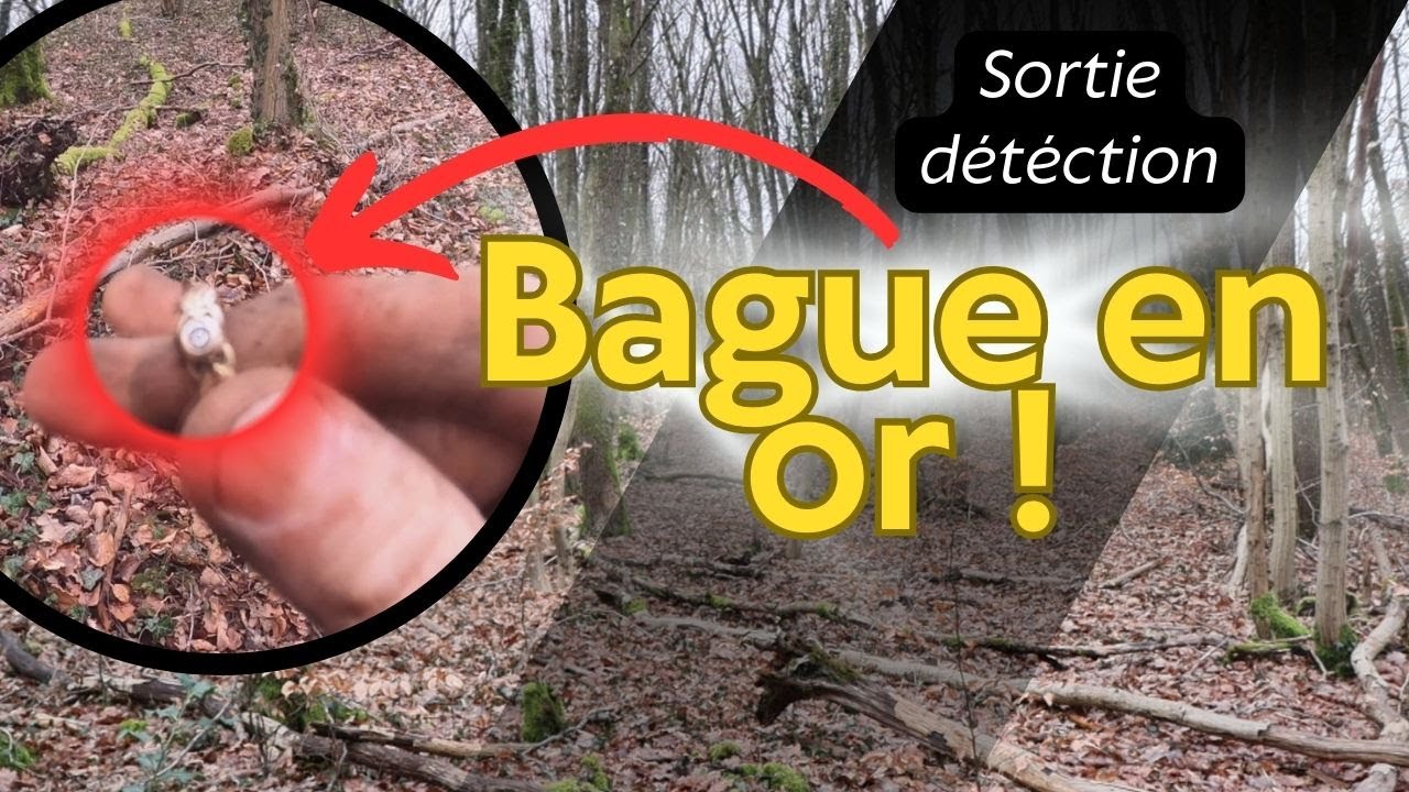 Sortie détection : je trouve une bague en OR et quelques pièces en forêt ! 🌳