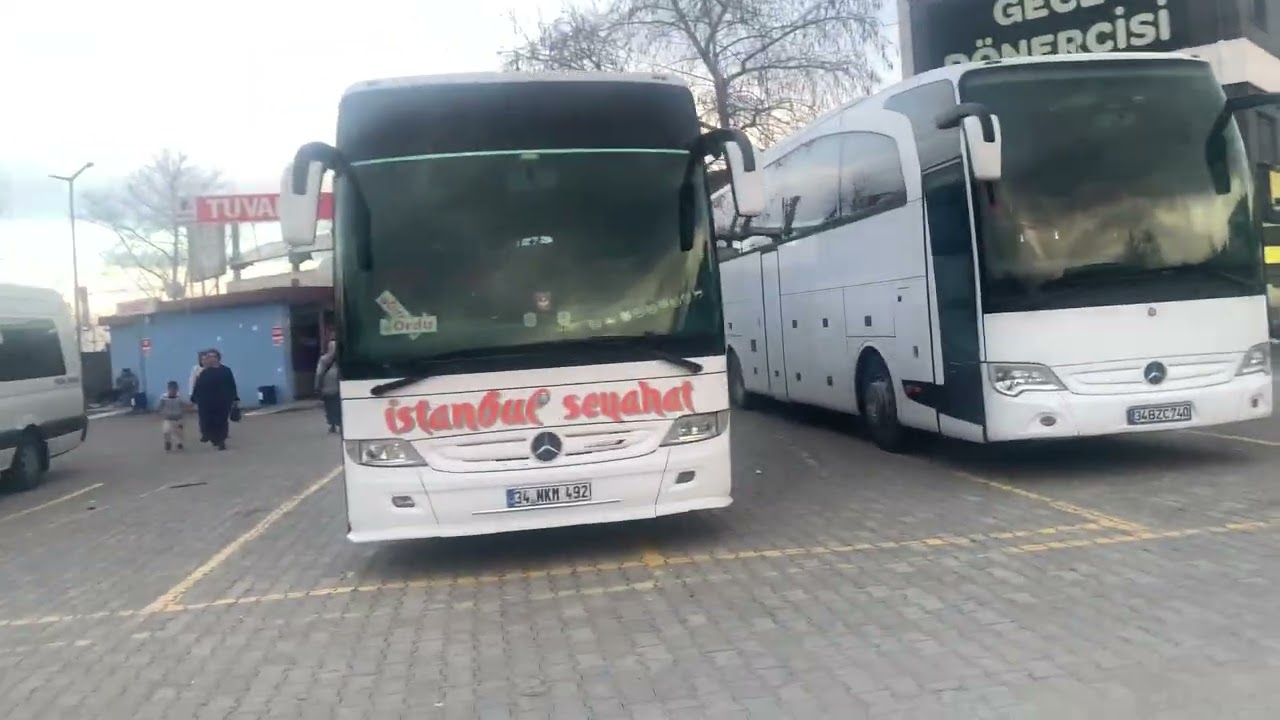 Fatsa  otogar otobüs  videoları 