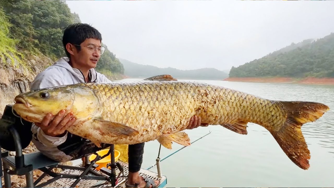 探钓水库垂钓巨物！天气逐渐寒冷，终于钓上千斤巨物，真是收获满满！【小宋野钓】