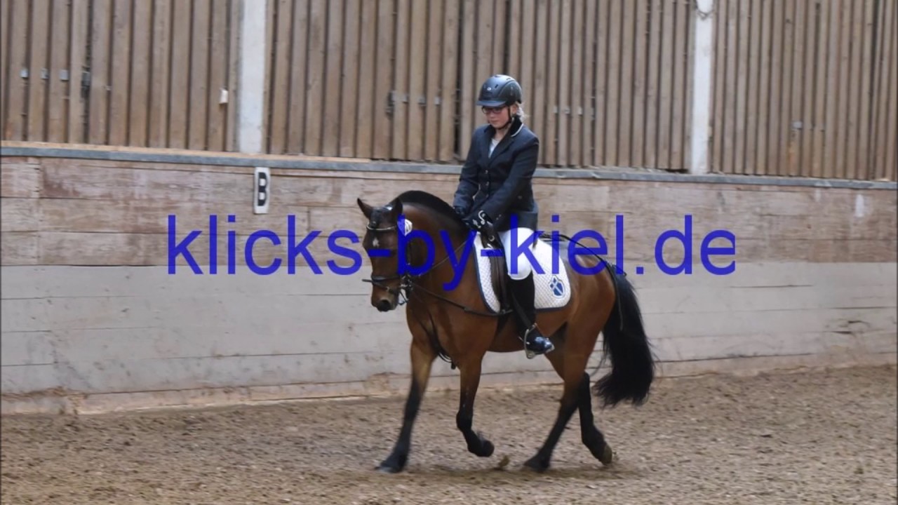 saison 2015 2 0 H&uuml;nfeld RFV H&uuml;nfeld