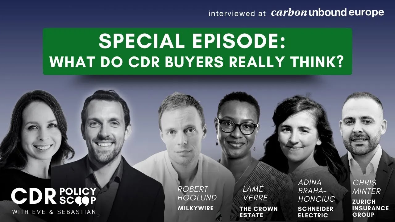 What Do CDR Buyers Really Think? - Robert Höglund, Lamé Verre, Chris Minter and Adina Braha-Honciuc