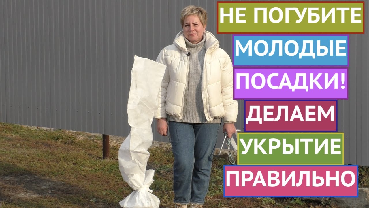 САЖЕНЦЫ МОГУТ НЕ ПЕРЕЗИМОВАТЬ, ЕСЛИ УКРЫТЬ ИХ ПЛОХО!