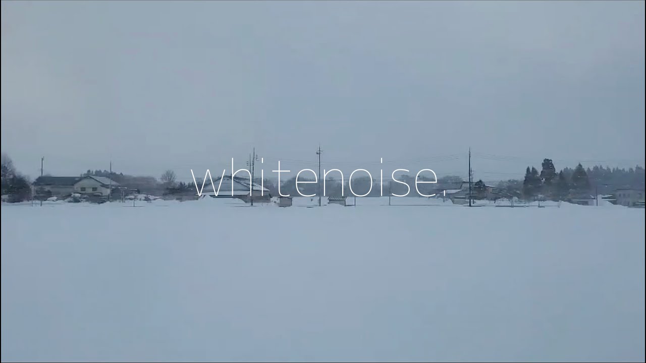 whitenoise. / 初音ミク
