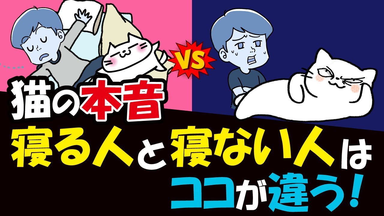 【猫が選ぶ！】