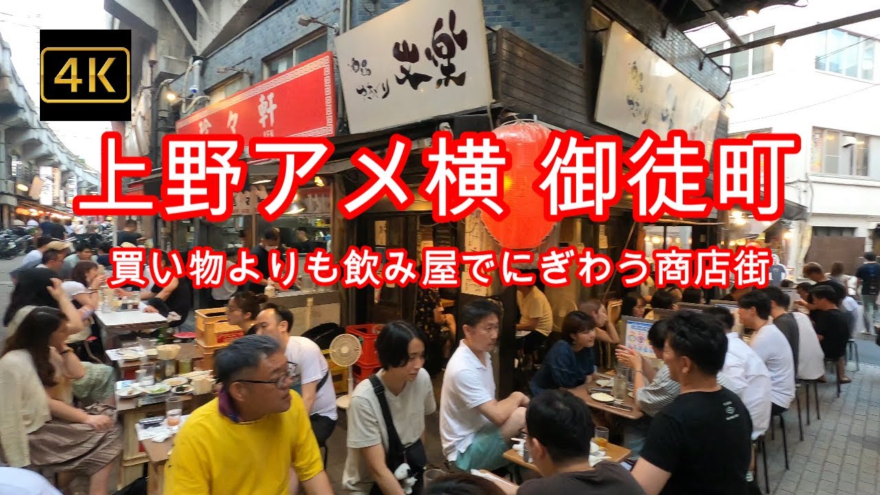 4K【上野アメ横～御徒町】【買い物よりも飲み屋でにぎわう商店街】【ガード下飲み屋】【異国の屋台多数でここはどこ？】【おかちまちパンダ広場】ameyoko okachimachi ueno