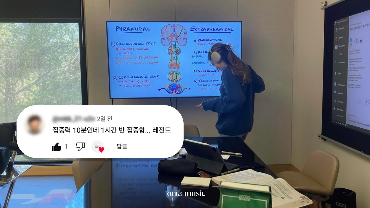 𝑷𝒍𝒂𝒚𝒍𝒊𝒔𝒕 (가사X) 고지능 ADHD들을 위한 공부 플레이리스트 👩‍💻 머리 띵하게 몰입하는 음악들 ✍️