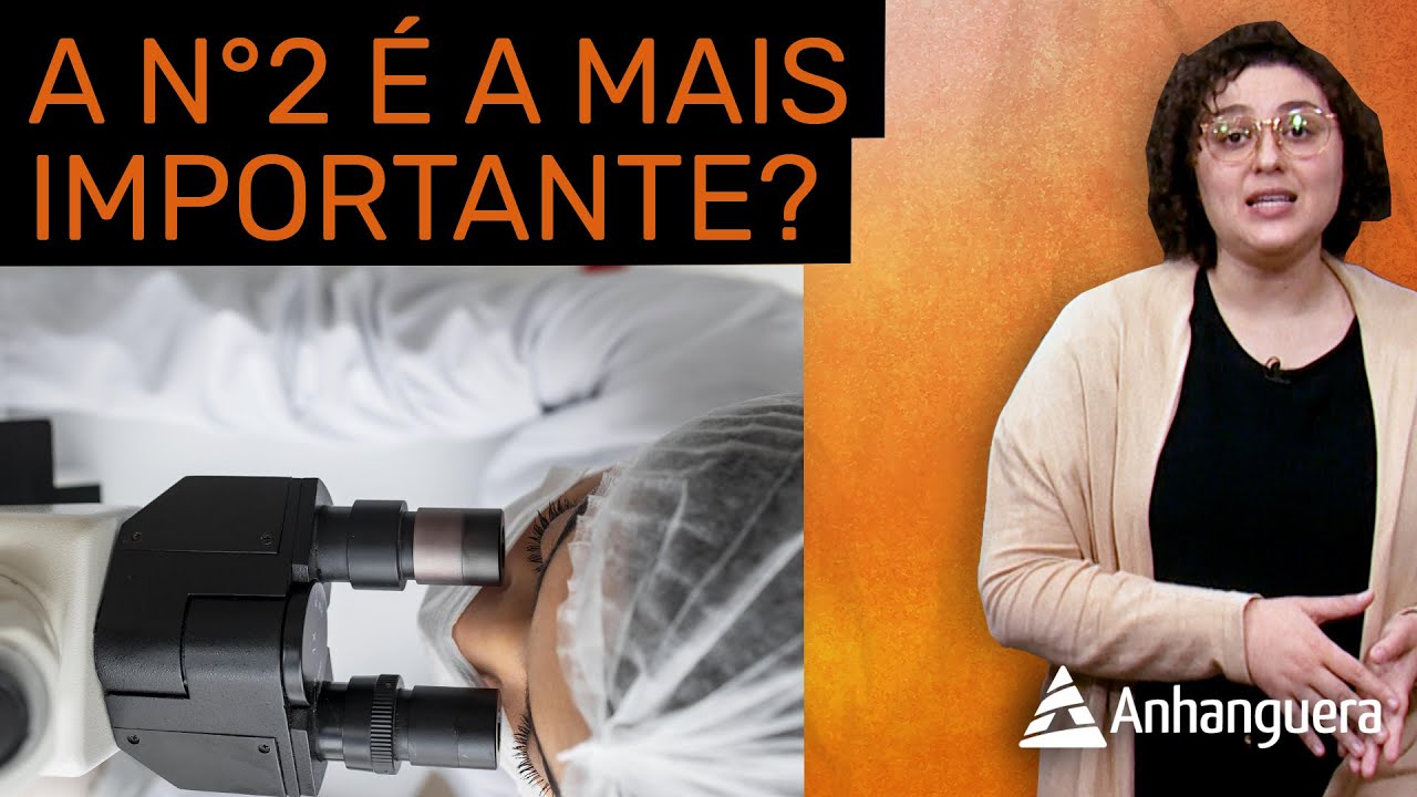 Quais São as Matérias Estudadas em Biomedicina? | PAPO RETO #18 👩🏻‍🔬🧬