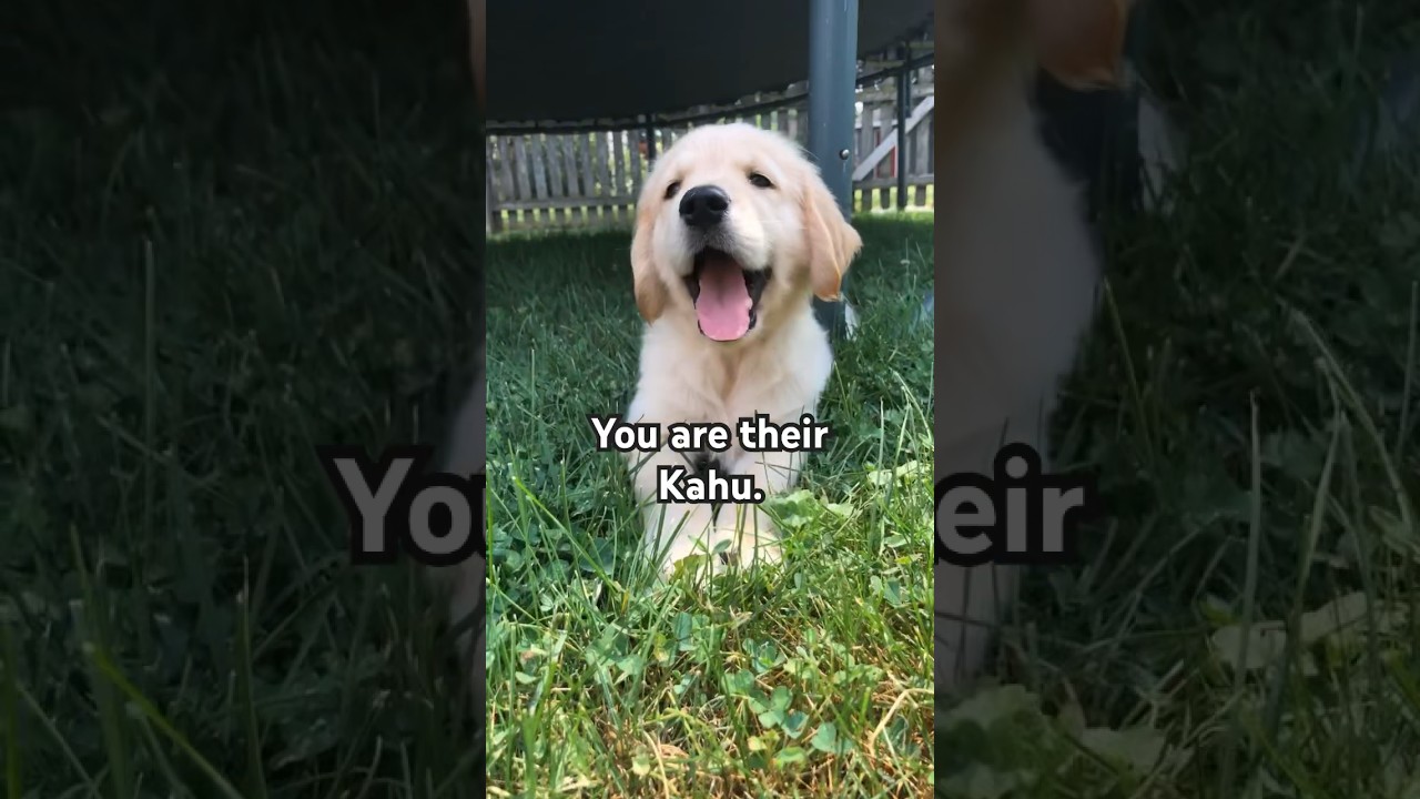 More than pet owners 💕 