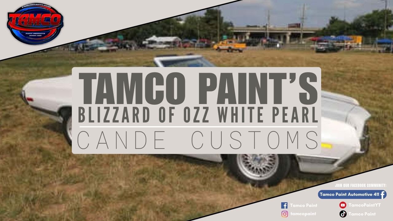 Tamco Paint's Custom Color - Blizzard Of Ozz White Pearl painted by CaNDe Customs