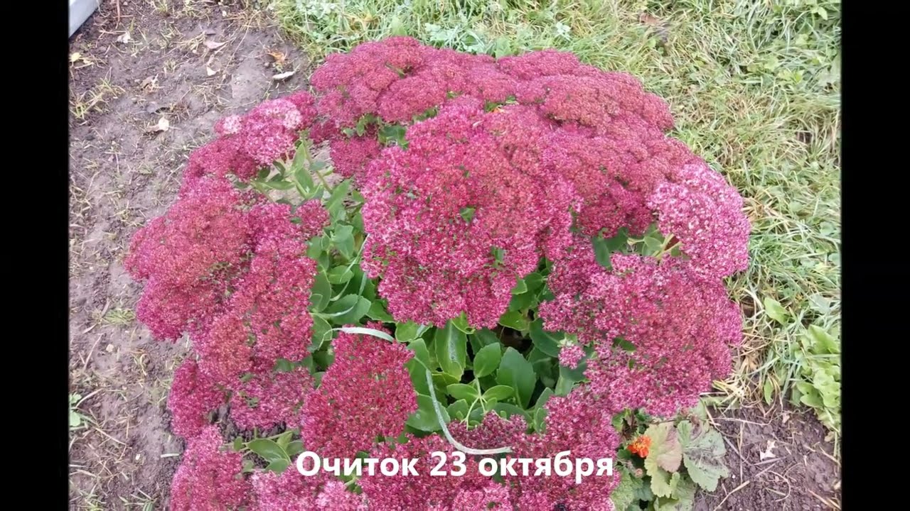 Октябрь 2025 года