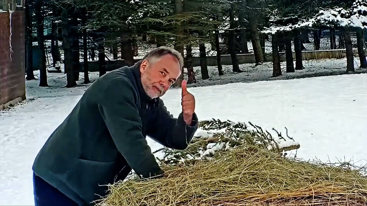 Únor bílý, pole sílí.🌞🌨