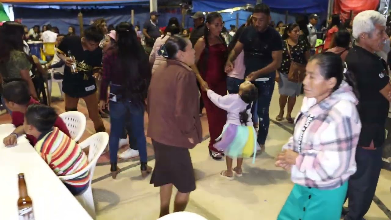 Baile en honor a la Virgen de Guadalupe en Potrerillo Cuapinole 2024 DVD 4