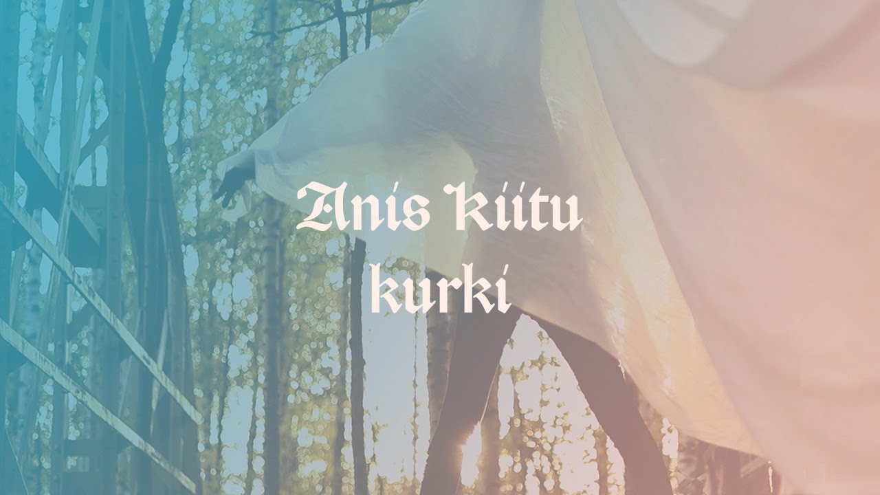 Anis Kiitu - Kurki