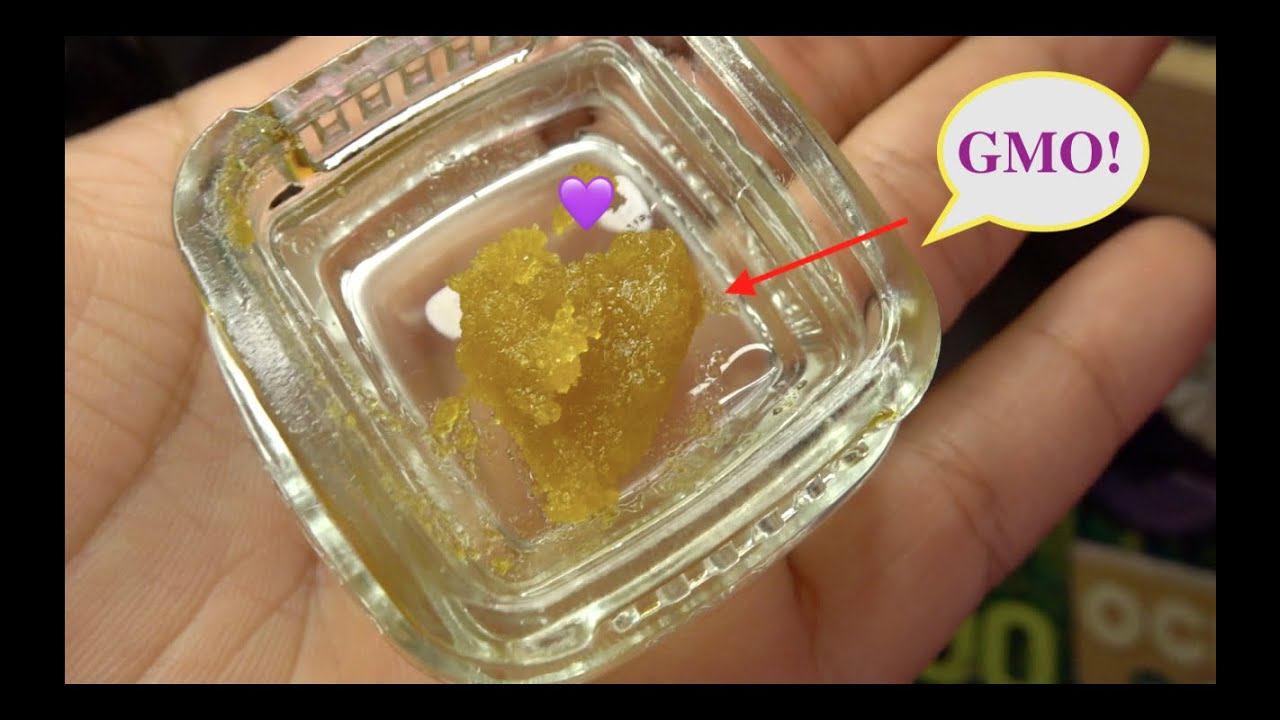 Grassroots: *Lemon Royale* Live Sugar Review