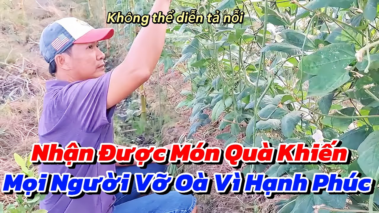 Công Sức 1 Ngày Làm Việc Vất Vả Bỗng Hoá Thành Niềm Vui Trọn Vẹn Khi Nhận Được Món Quà Yêu Thương 