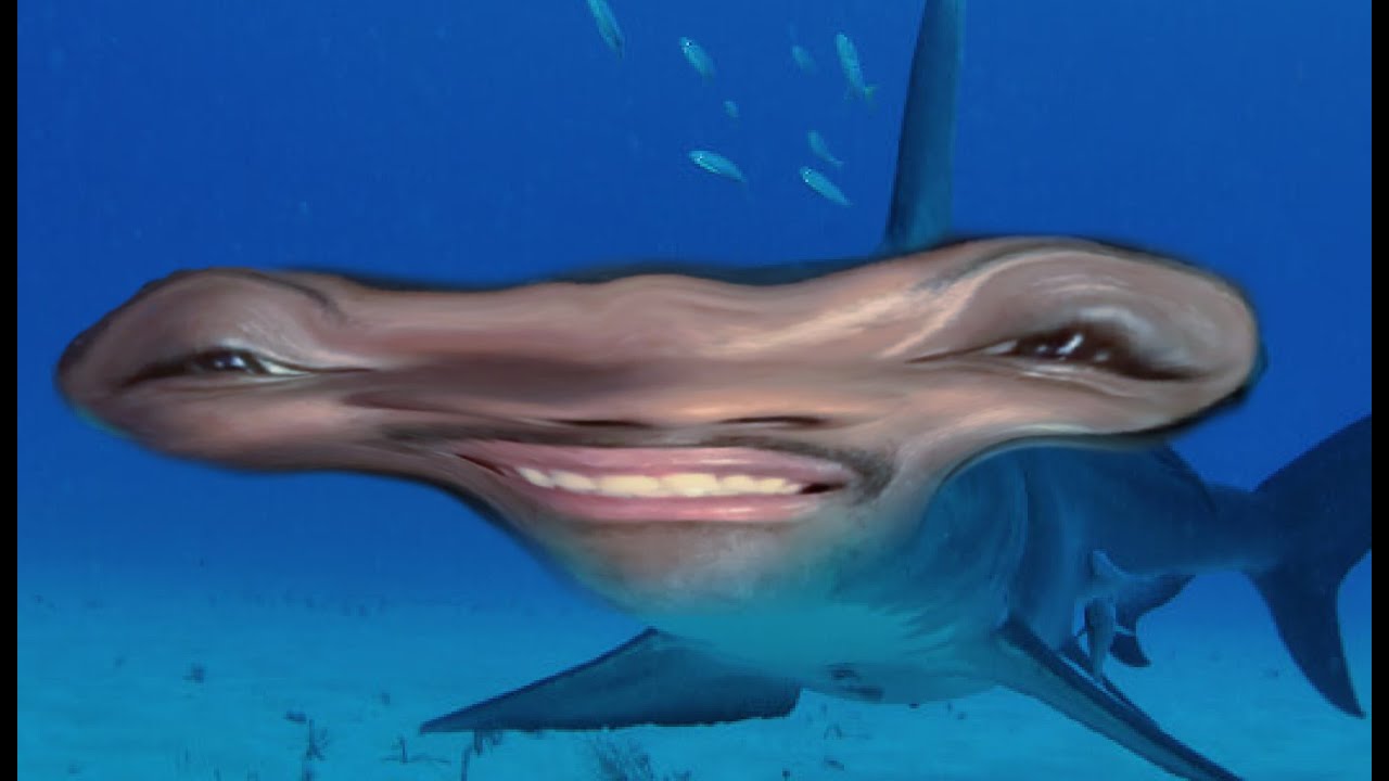New Phobia of Sharks UNLOCKED..
