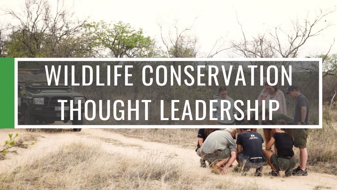 GVI Thought Leadership in Wildlife Conservation | GVI