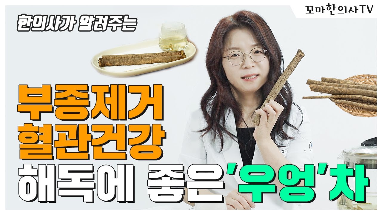 다이어트, 혈관건강, 불면증에 좋은 우엉차 만들기, 우엉차의 효능, 우엉차의 주의사항