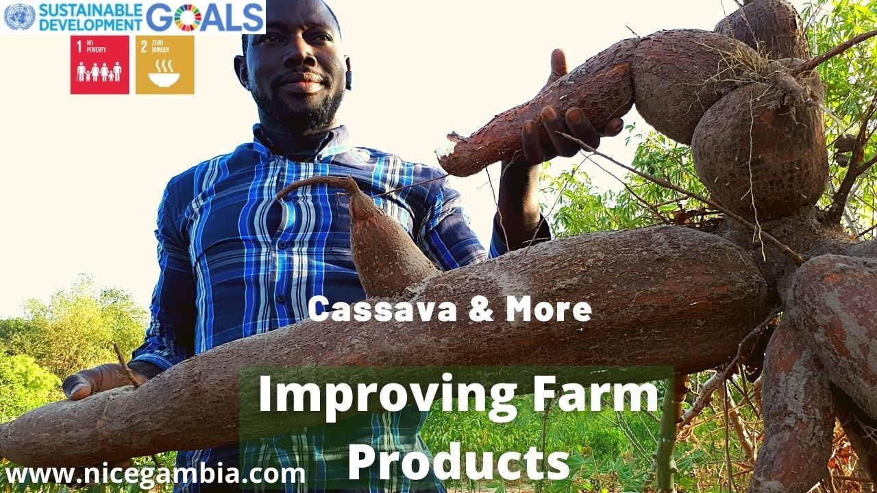 Agric Research Center in The Gambia | NARI | Horticultural Research Center