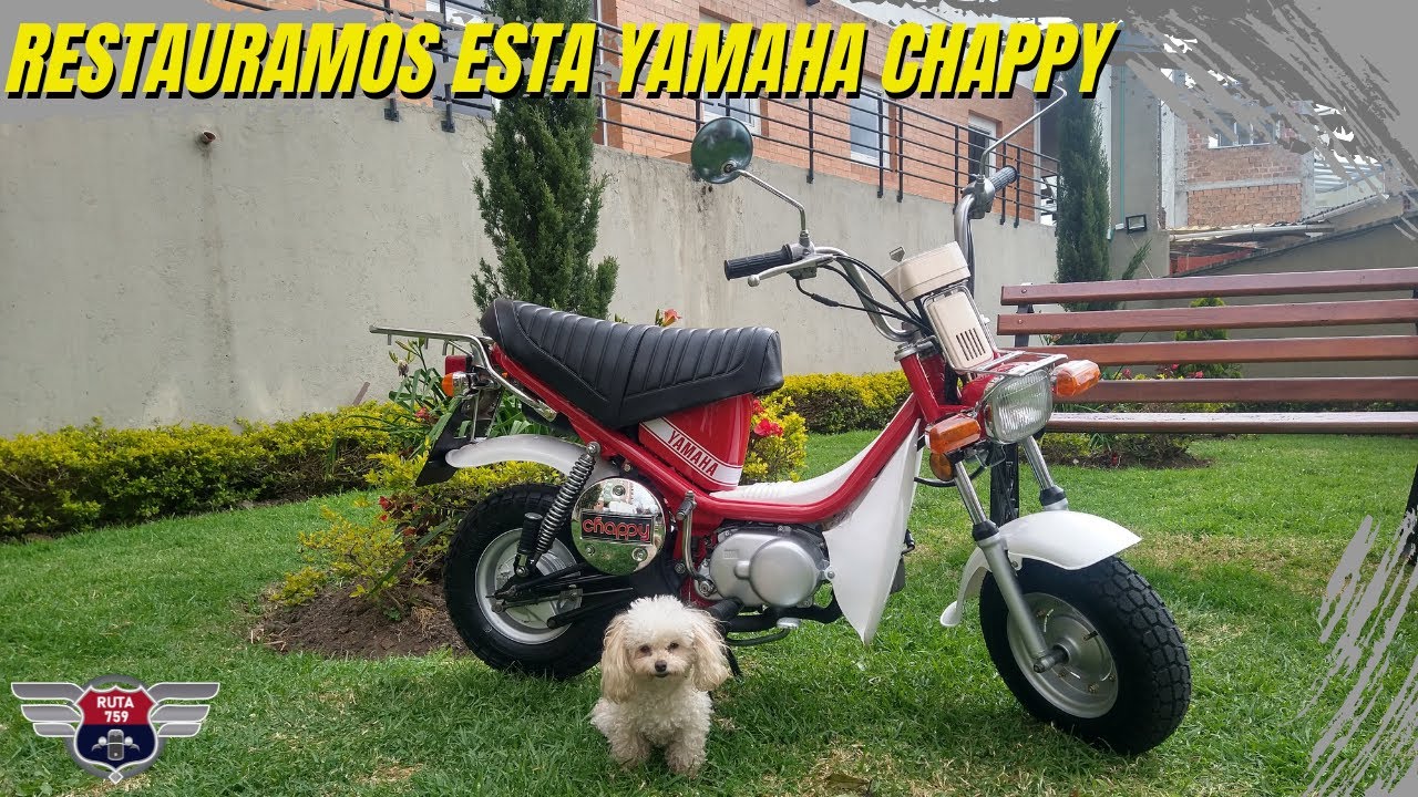 Restauramos esta Yamaha Chappy || Resultado final