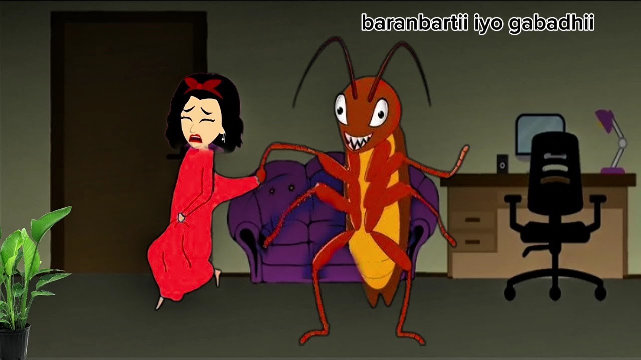 Sheeko gaaban: gabdhihii iyo baranbaradii