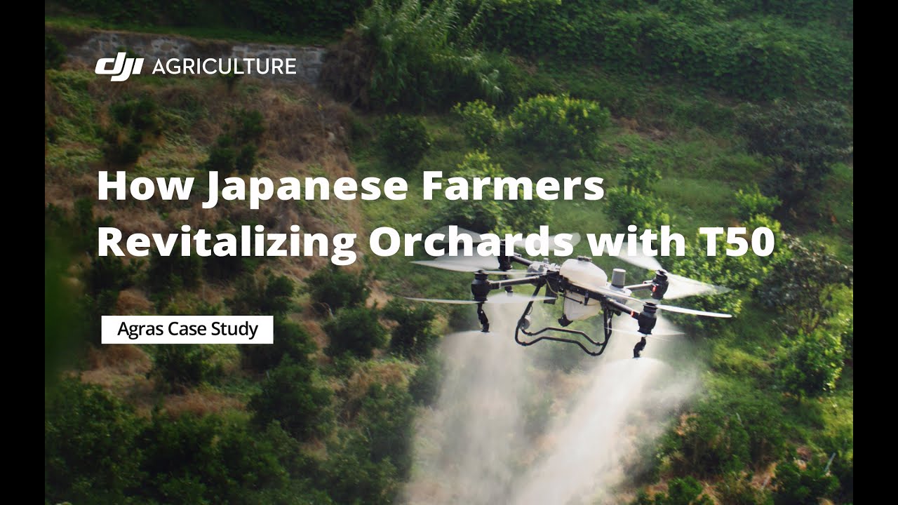 Revitalizing Orchards with T50 in Japan
